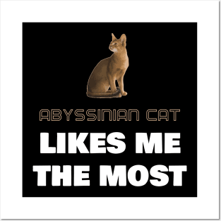 Abyssinian Cat Likes Me the Most Posters and Art